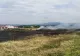 Incendiu de proporții, în Satu Mare. Au ars 8.000 mp de vegetație uscată - FOTO