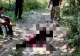 Urs ucis și tranșat de doi braconieri în Dâmbovița. Când au fost prinși, i-au amenințat pe paznici cu un cuțit