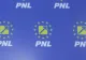 Doi liberali de frunte NU vor funcții în partid. Motreanu: AM luat ce este mai rău din PDL