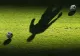 Cel puțin 129 de persoane au murit la un meci de fotbal - Cum s-a petrecut tragedia