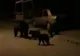 Prezența mai multor urşi, semnalată prin RO-ALERT, în județul Harghita
