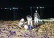 VIDEO | Afgani prinși în timp ce încercau să treacă ilegal fluviul Dunărea