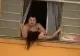 VIDEO | Scene șocante, în Brazilia. O femeie însărcinată a încercat să sară de la etaj de frica soțului agresiv 