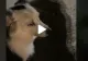  VIDEO – Din botul câinelui se auzea un zumzăit puternic și ciudat – Stăpânul animalului s-a speriat și a filmat totul – Deznodământ neașteptat