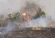 Amendă uriașă pentru un bărbat care a incendiat o zonă protejată, în Arad