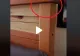 VIDEO – Ce au găsit părinții în capul patului din camera fiicei lor – Au crezut că leșină când și-au dat seama la ce folosesc