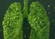 Cum îţi detoxifici plămânii în 48 de ore. Cura pe care toată lumea trebuie să o urmeze