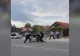 VIDEO - Scandal în Gorj - Polițiști agresați de un individ turbulent 