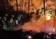 Incendii DEVASTATOARE în Spania! Mii de oameni, evacuați. Zeci de elicoptere și drone au luptat cu flăcările