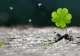 Horoscop 8 septembrie. Investiții cu șanse majore de câștig. Zodia care cunoaște un succes nesperat