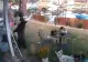 VIDEO | Momentul în care un urs intră nestingherit în casa unei familii din California