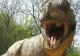 Omenirea, somată de un dinozaur la ONU 