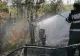 Incendiu violent în cimitir, coroanele au luat foc