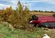 Accident înfiorător în județul Ialomița: Un bărbat a murit pe loc, iar o femeie a fost grav rănită