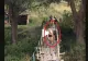 VIDEO – I s-a părut o idee bună să treacă cu bicicletă peste un pod șubdred de scânduri – Ce a urmat