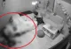 Adolescentă bătută cu sălbăticie de propria mamă. Agresiunea, suprinsă de camerele video