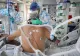 Octavian Jurma: Vom avea peste 500.000 de români infectați pe săptămână, în realitate - Adevăratele cifre ale dezastrului nevaccinării 