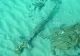 Descoperire istorică, în largul coastelor Israelului. Sabie veche de 900 de ani, aparținând unui cavaler cruciat, găsită întâmplător 