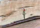 Sărbătoarea zilei, 21 ianuarie 2025. O zi însemnată pentru creștini. Cruce neagră în calendar