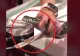 VIDEO – Ce a putut să înghită un șarpe – Veterinarii au reușit cu greu să-l scoată din interiorul animalului