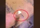 VIDEO – Secretul pe care unele mașini îl au sub scaunul șoferului – Mulți au descoperit că au și ei această dotare