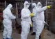 ALERTĂ! Gripa AVIARĂ din nou în România. La cine a fost depistat virusul 