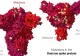 Multe întrebări, puține răspunsuri - varianta Omicron, încă o NECUNOSCUTĂ. Ro Vaccinare încearcă să ofere lămuriri: Ce știu și, mai ales, ce NU ȘTIU experții