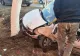 FOTO + VIDEO | Accident devastator în Timiş: 6 victime, dintre care doi minori 