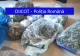 FOTO | Au mers să cumpere DROGURI de la un traficant în timp ce procurorii îi percheziționau casa
