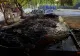Descindere a comisarilor Gărzii de Mediu, în Ilfov: peste 360 de kg de cabluri, CONFISCATE. S-au dat AMENZI