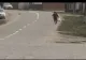 Bătrânii, obligați să muncească până mor | Bunicilor le e rușine să ceară ajutor: „Mănâncă doar cel ce muncește”
