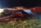 FOTO Accident CUMPLIT în Piatra Neamț: Tânăr de 19 ani, încarcerat. Mașina făcută armonică