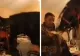 VIDEO | Românii care au petrecut cu un CAL în SUFRAGERIE au primit amenzi URIAȘE
