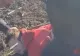 VIDEO Criminalul evadat de sub nasul polițiștilor doljeni a fost PRINS