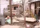 VIDEO | Imagini dramatice. O familie din Buftea, la limita supraviețuirii. Singura dorință de Crăciun: să își termine casa