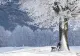 Vremea 12 decembrie - Predomină ninsorile, se va depune zăpadă - Ce zone sunt vizate