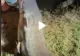 VIDEO – Monstrul găsit de un pescar român – Ce a făcut cu el i-a impresionat pe internauți: “Dacă nu filmai nu te credeam”