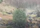 VIDEO - Incident major la granița dintre Polonia și Belarus - Acuzații dure - Se încearcă declanșarea unei confruntări majore