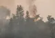 Situație ALARMANTĂ! Incendiul de pădure din Bacău, scăpat de sub control