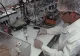VIDEO | TERAPIE REVOLUȚIONARĂ! Șoarecii paralizați au putut să meargă din nou. Metoda va fi folosită si pe oameni