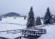 VIDEO - Ninge la munte ca în povești - Stratul de zăpadă măsoară 15 centrimetri - Cum arată prognoza meteo pentru următoarea perioadă
