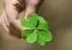 Horoscop decembrie. Zodiile care se îmbogățesc peste noapte! Destinul lor se schimbă radical
