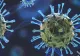 Decizie fără precedent! UE a interzis călătoriile din Africa de Sud din cauza tulpinii super-mutante COVID-19 - Omicron