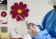O nouă tranșă de doze de vaccin COVID-19 de la Moderna, livrată în România