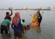 PANICĂ în INDIA! Explozie de cazuri cu virusul ZIKA