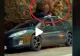 VIDEO – Se întâmplă chiar în România – Un urs devastează o mașină aflată la marginea pădurii