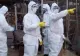 Focare de gripă AVIARĂ identificate în Cehia și Slovenia. Câte păsări au fost sacrificate