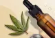 STUDIU | Tratamentul cu ulei medicinal de CANNABIS, eficient în tratarea AUTISMULUI