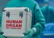 Prelevare de organe la Spitalul Clinic Județean de Urgență Târgu Mureș: Câte vieți au fost salvate