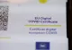 SURSE: PSD nu mai vrea certificat covid: Decizia s-ar fi schimbat în urma convorbirii cu Klaus Iohannis - Ședință de URGENȚĂ a coaliției